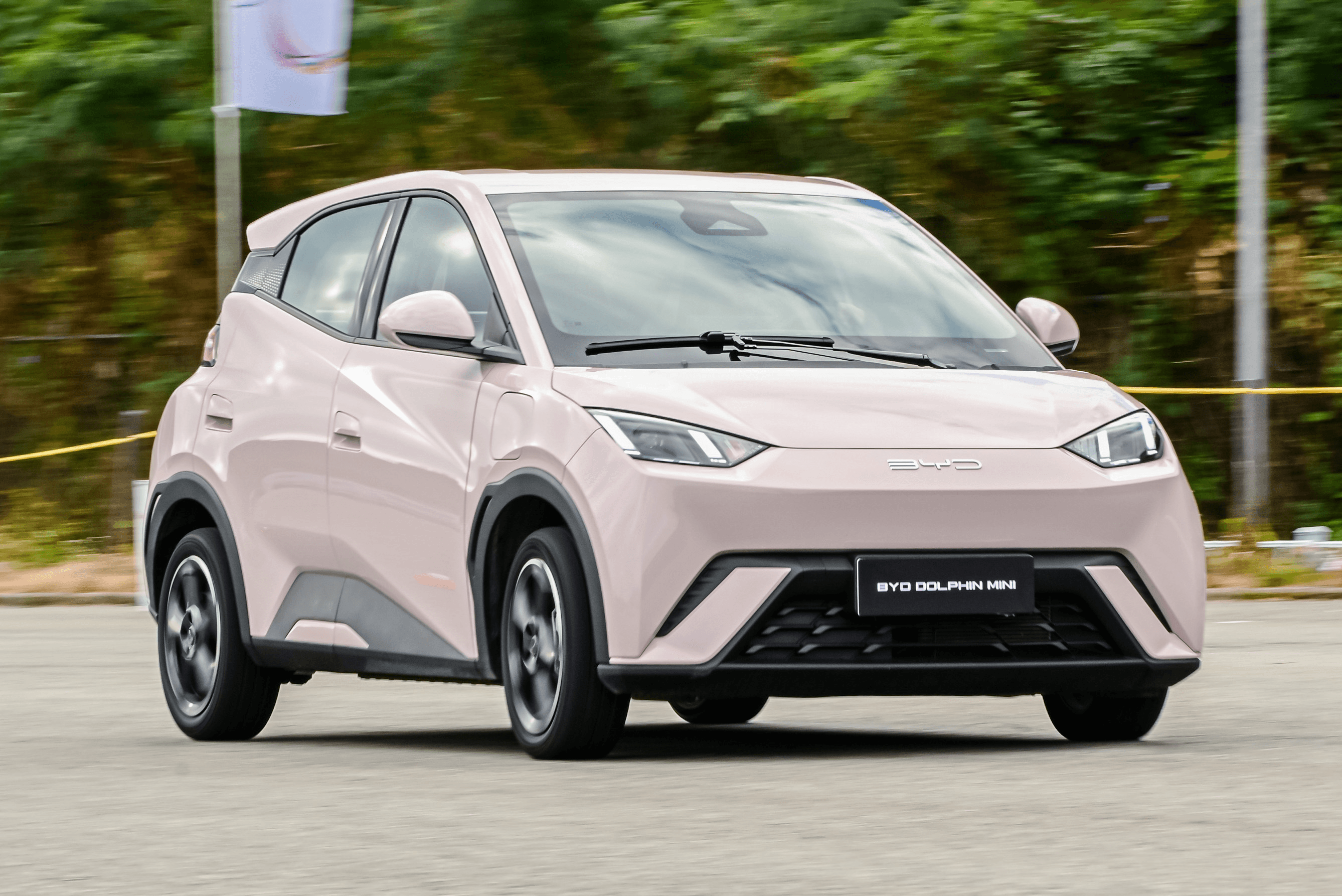 BYD Dolphin Mini - imagem 2